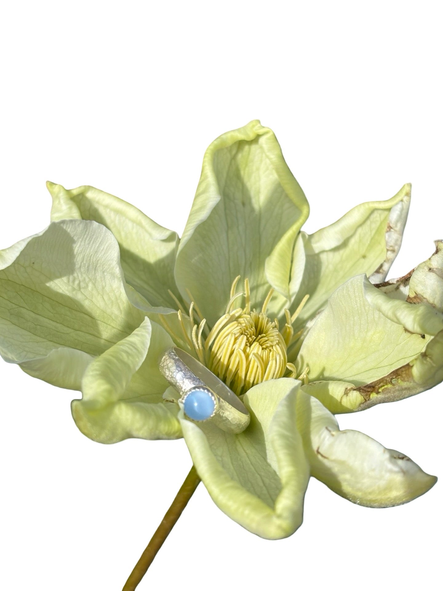 Ring with a blue gemstone on a light green flower against a white background